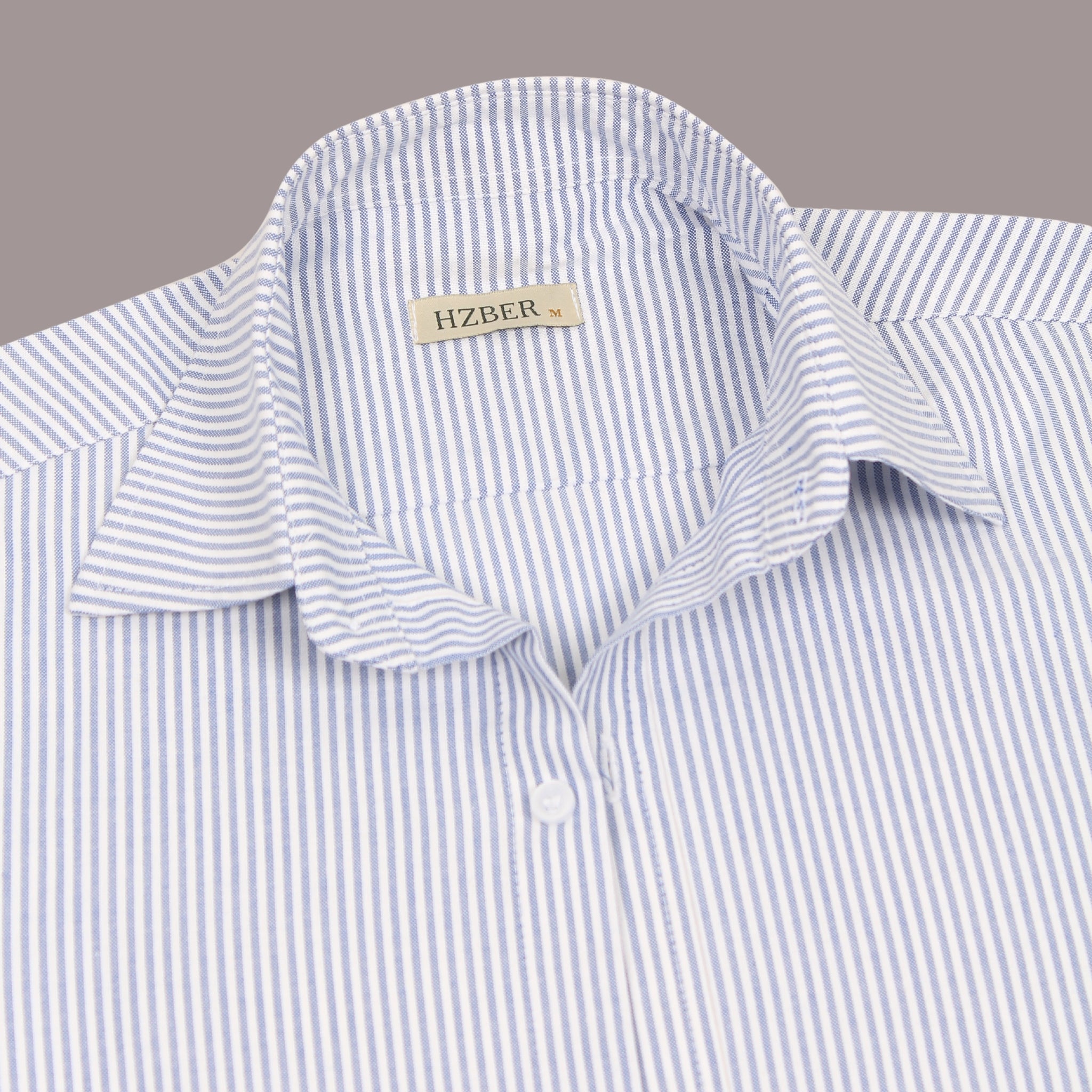 HZBER Pinstripe Shirt — Light Blue